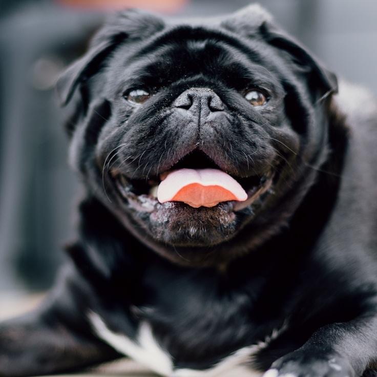 Lucia Rodriguez - Founder of Delta Inspire Ivory